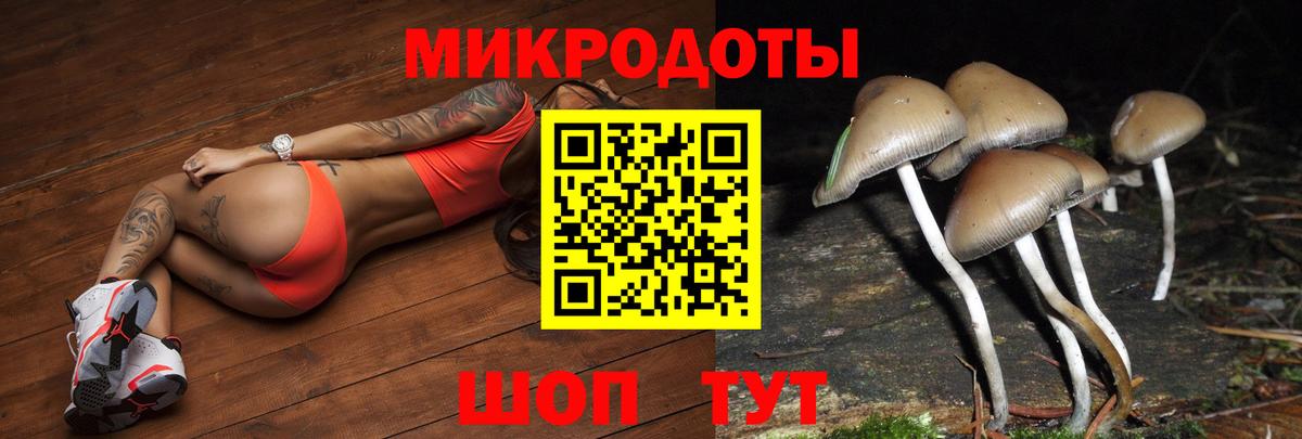 Галлюциногенные грибы Magic Shrooms  Вход с VPN  Волхов  Псилоцибиновые грибы Psilocybe 